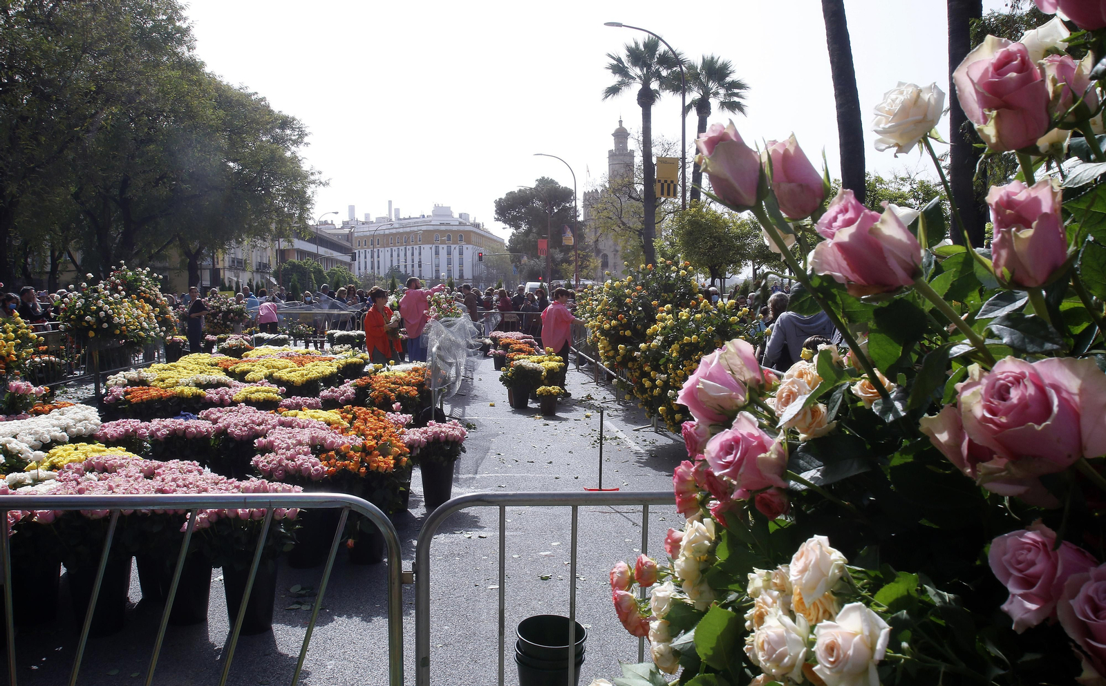 CORTE DEL PASEO COLON CON MERCADILLOS Y COLOCACION DE FLORES