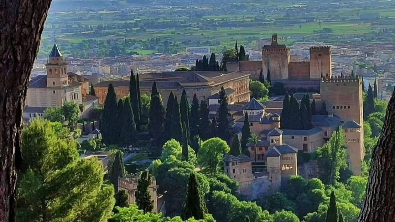 Fotografía de Adelaida Martínez de la Alhambra pasa a la final del certamen.