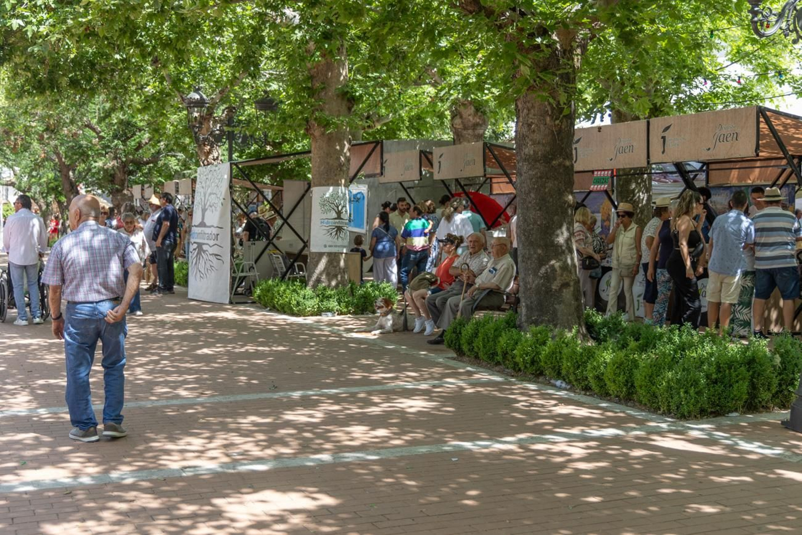 XL Fiesta de la Cereza del Castillo de Locubín