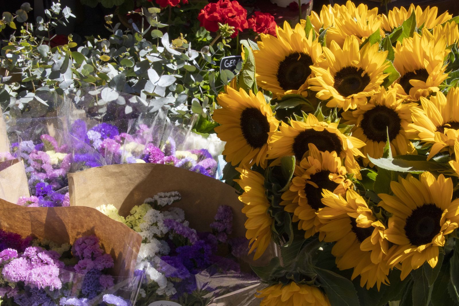 Las mejores imágenes de la Muestra de Primavera en Plaza de las Monjas, Huelva