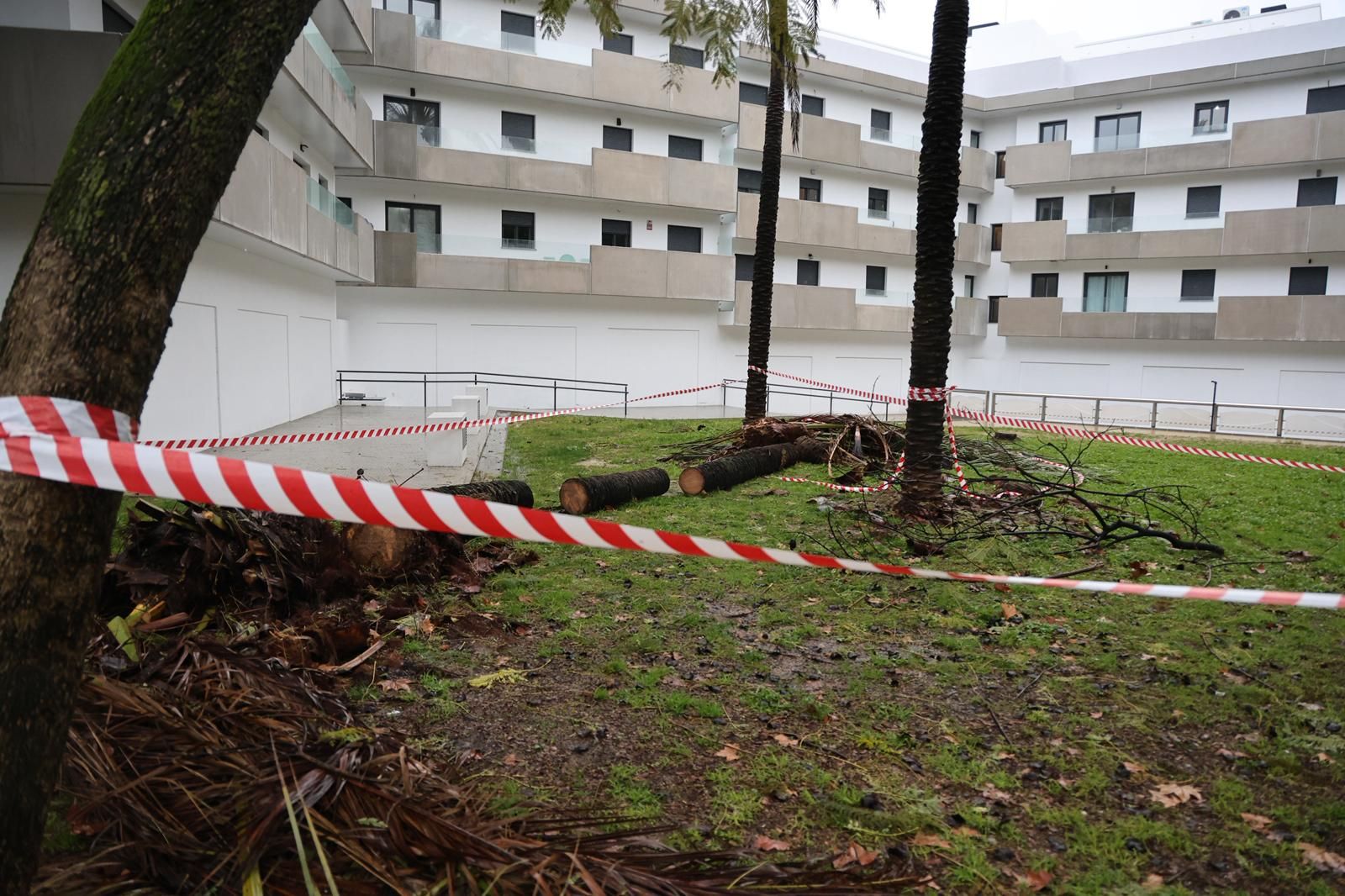 Fotografías de los destrozos de la borrasca Kristin en Huelva este miércoles