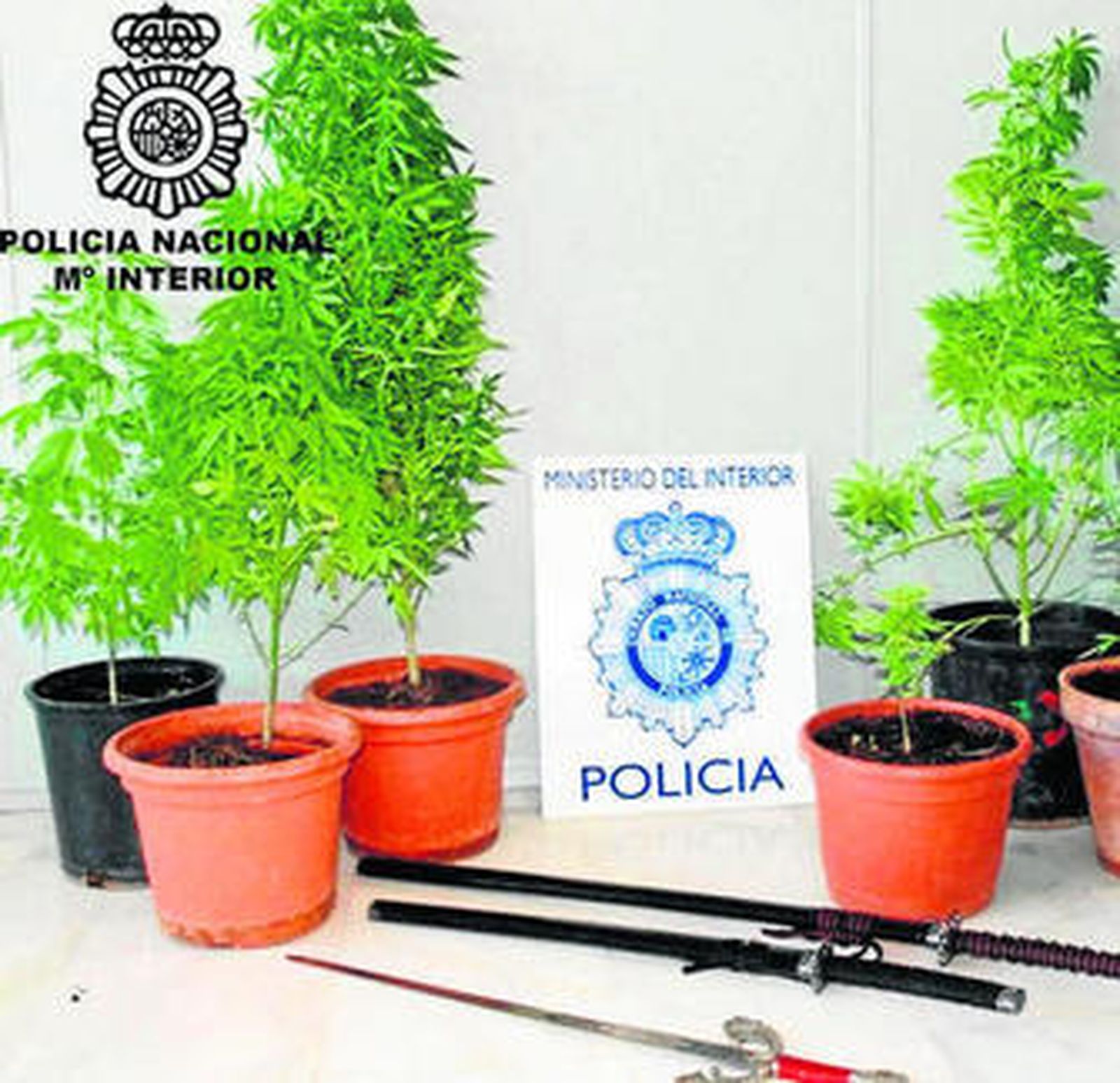 La Policía también encontró nueve plantas de marihuana.