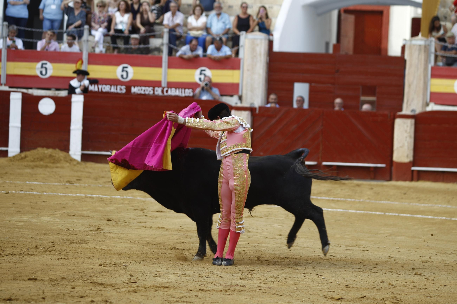 Imágenes de la novillada de la Feria de Almería 2025