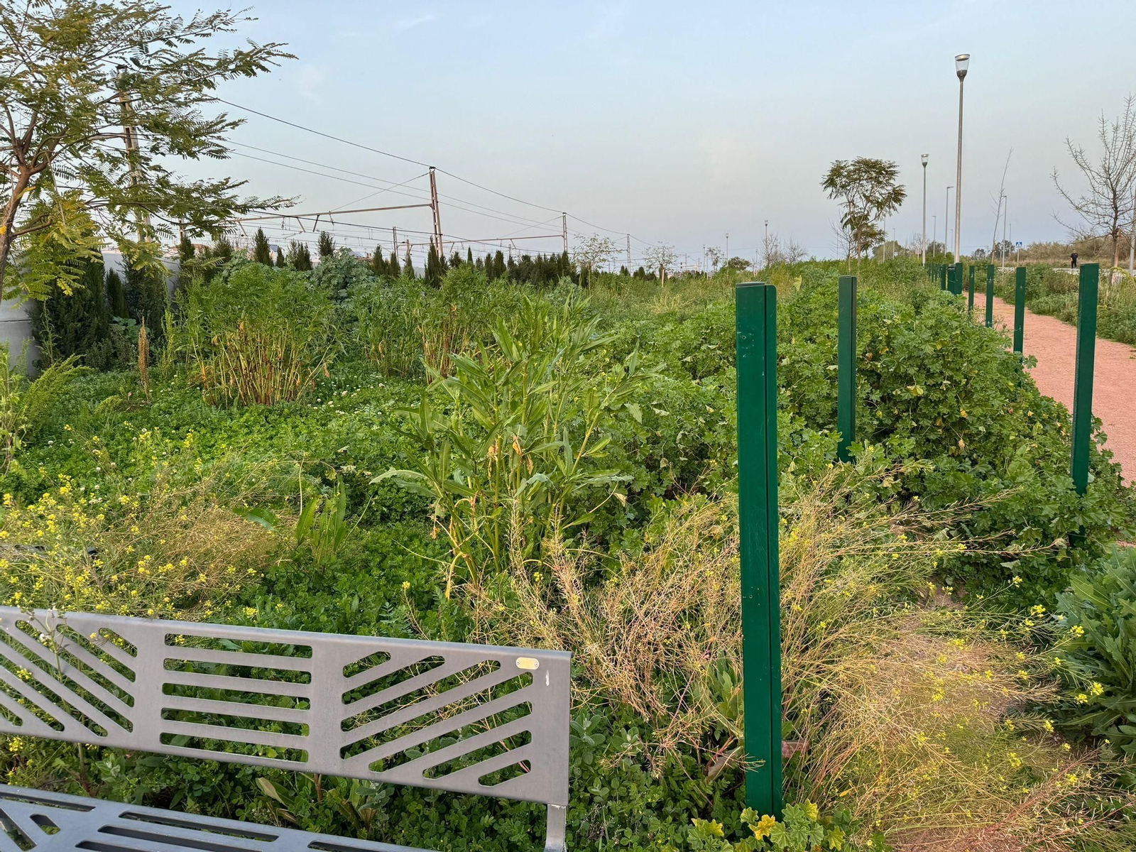 Estado del parque canino de Villarrubia.