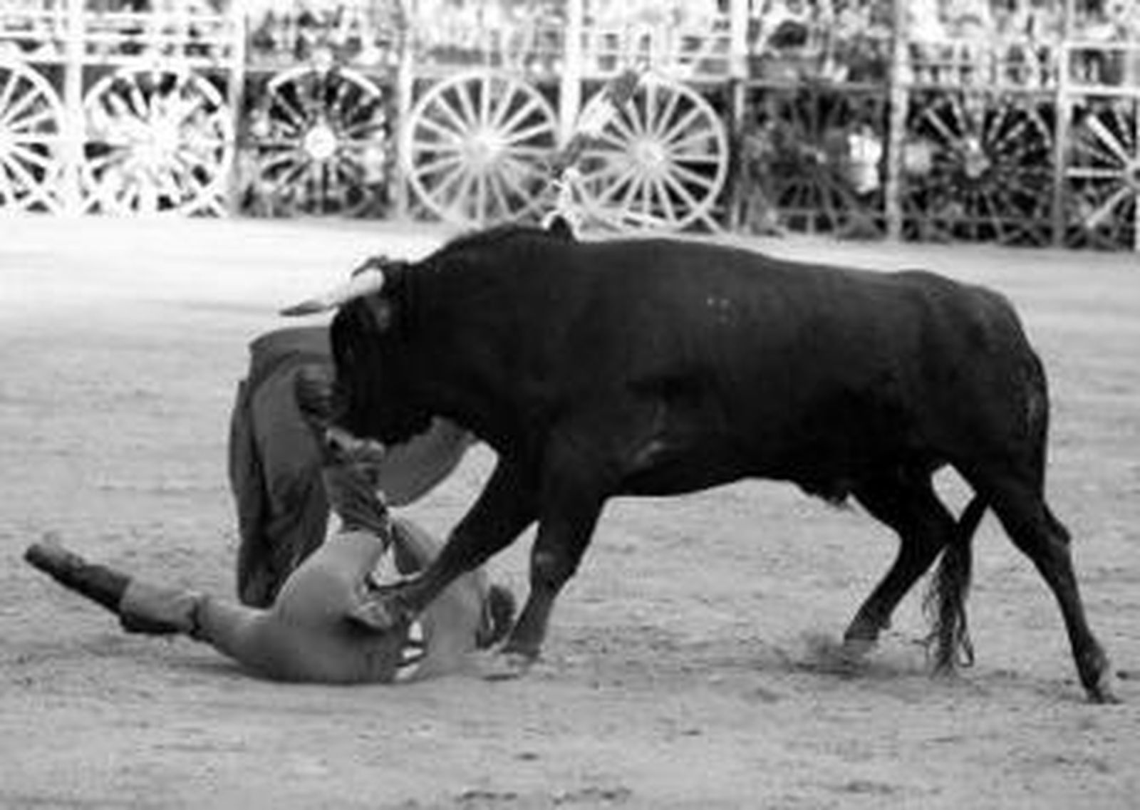 Daniel Muñoz Antúnez y Jesús Arroyo cortan una oreja cada uno en La Algaba