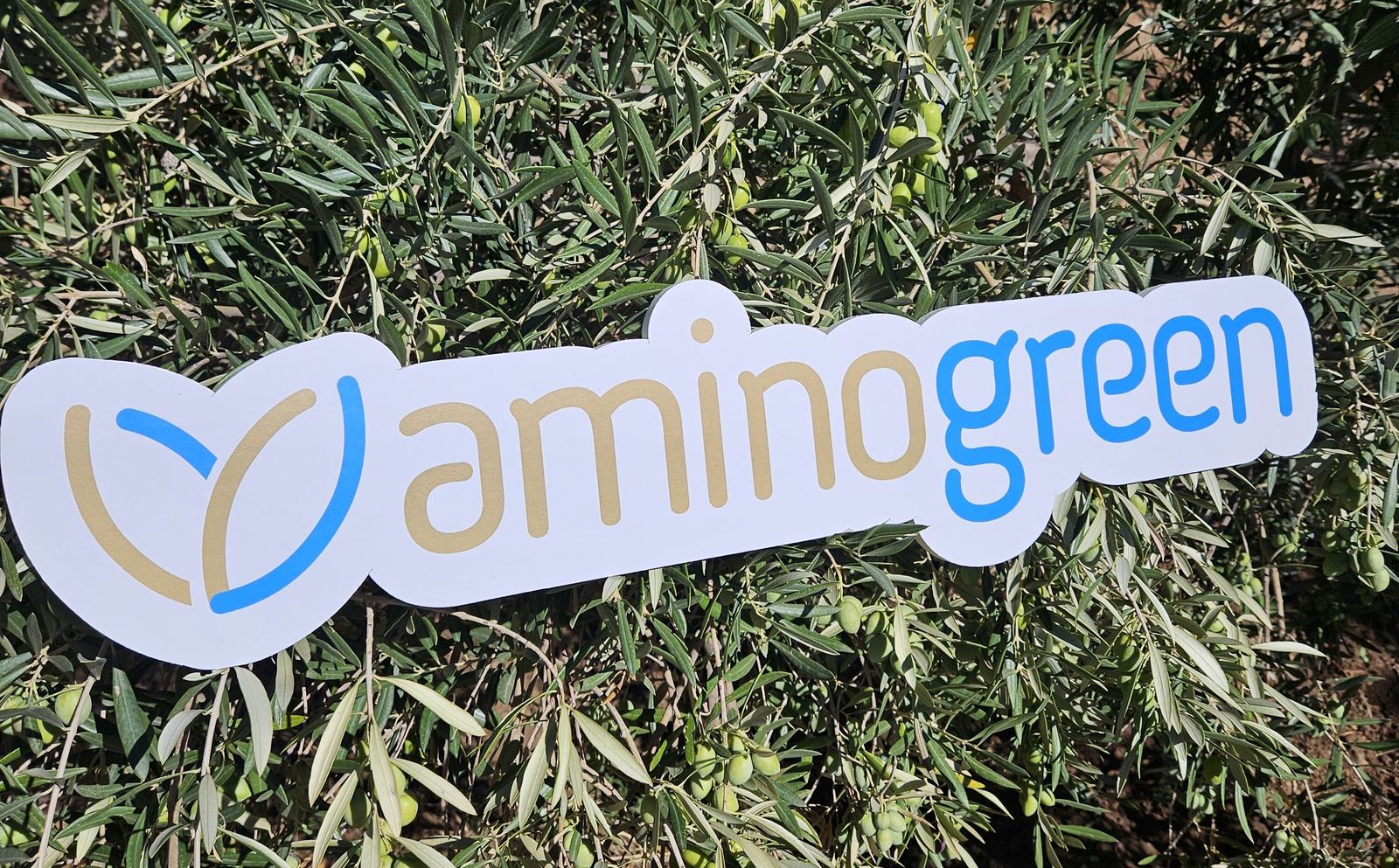 Cartel de Aminogreen.