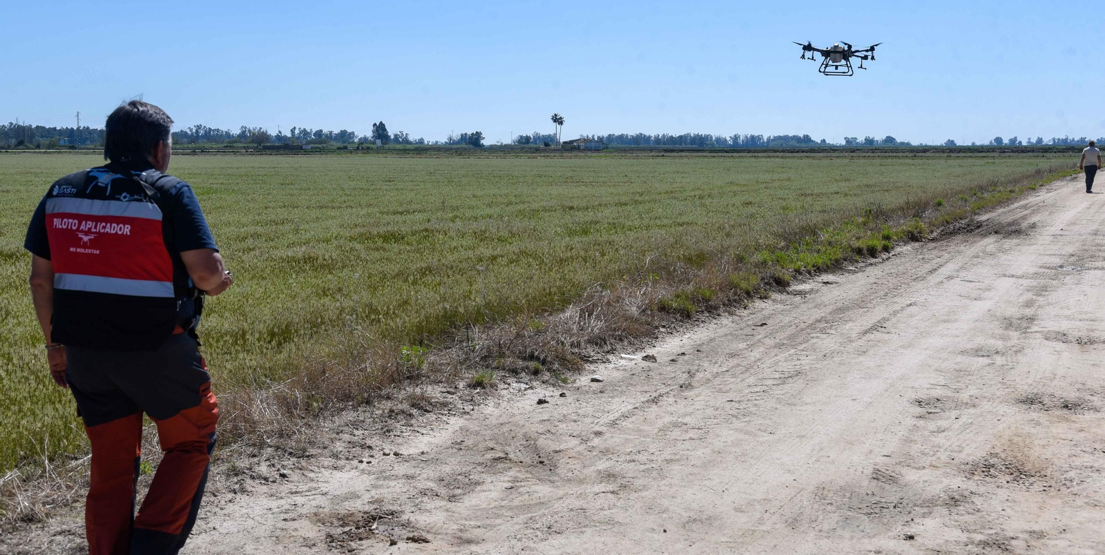 Control de larvas por el Virus del Nilo en la marisma de La Puebla del Río