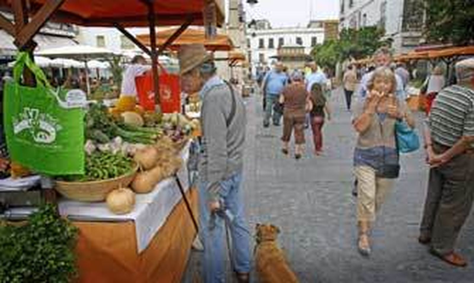 Puestos en un mercadillo de alimentos ecológicos en las inmediaciones de la plaza de abastos de Jerez. /Pascual