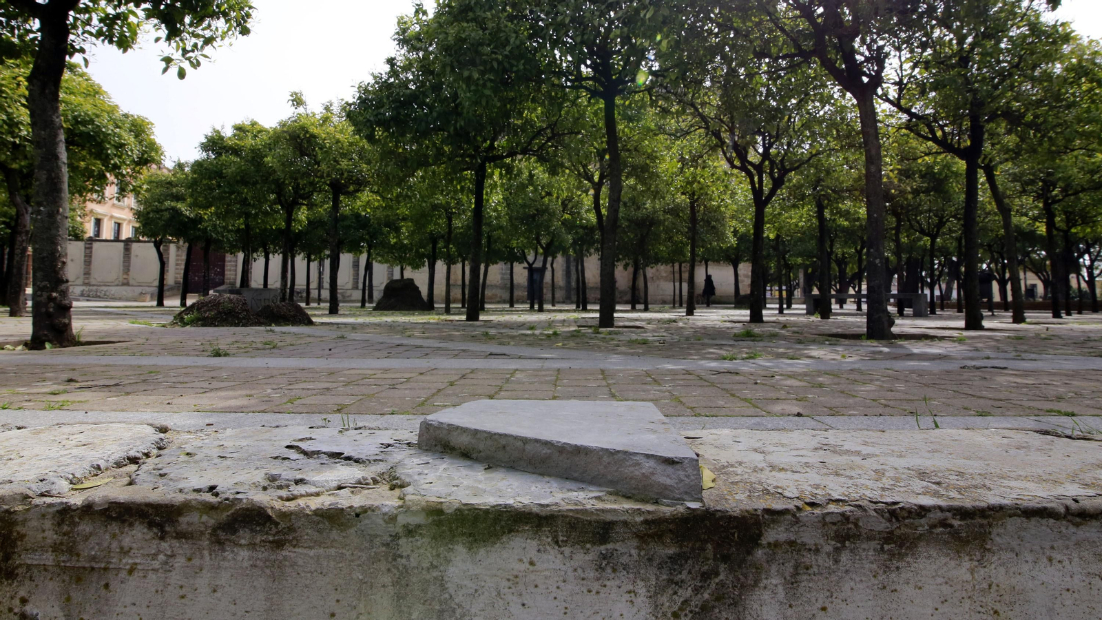 Abandono en la Alameda Vieja