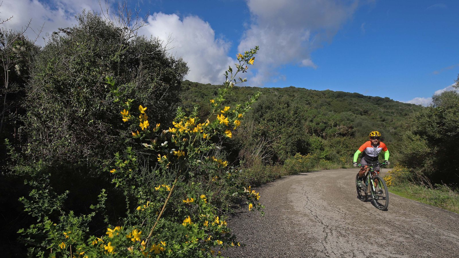Carretera de Las Pantallas en Algeciras