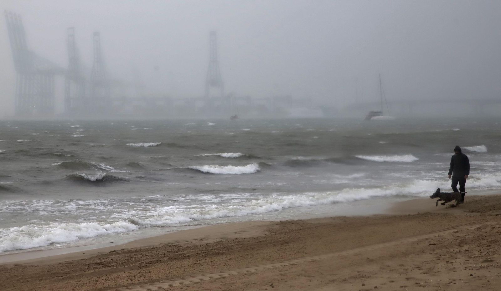 Un hombre pasea a su perro en mitad de la borrasca Joseph en la playa del Rinconcillo de Algeciras.