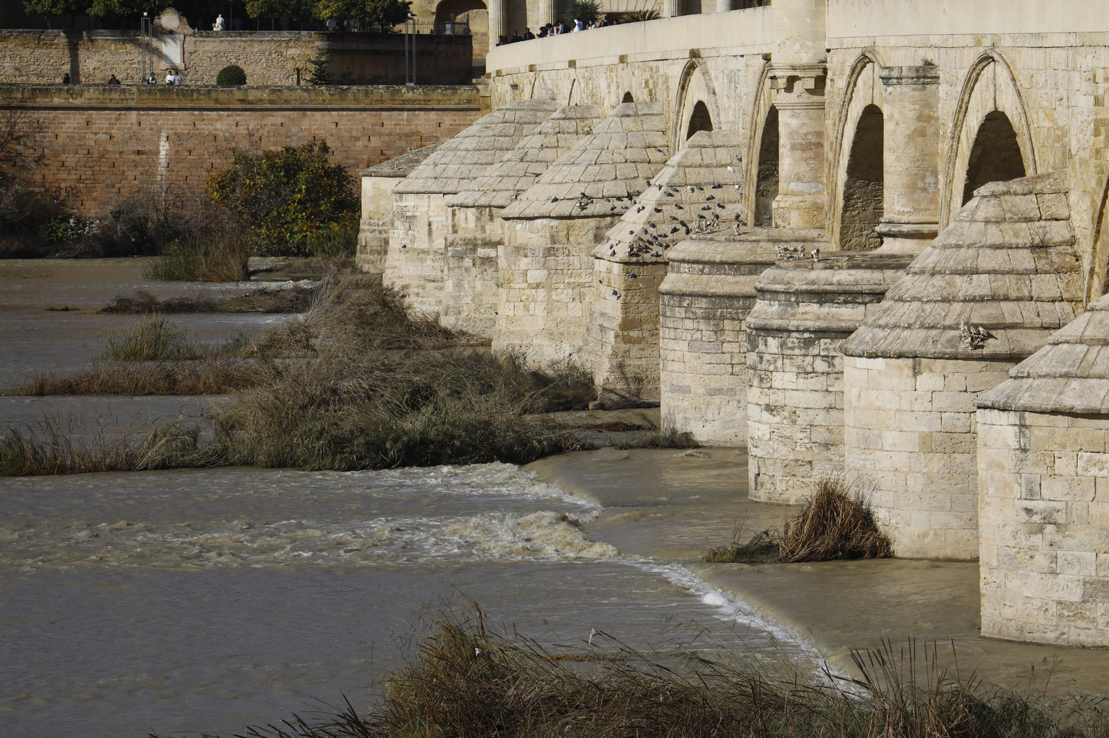 El caudal del río Guadalquivir recupera la normalidad en Córdoba, en imágenes