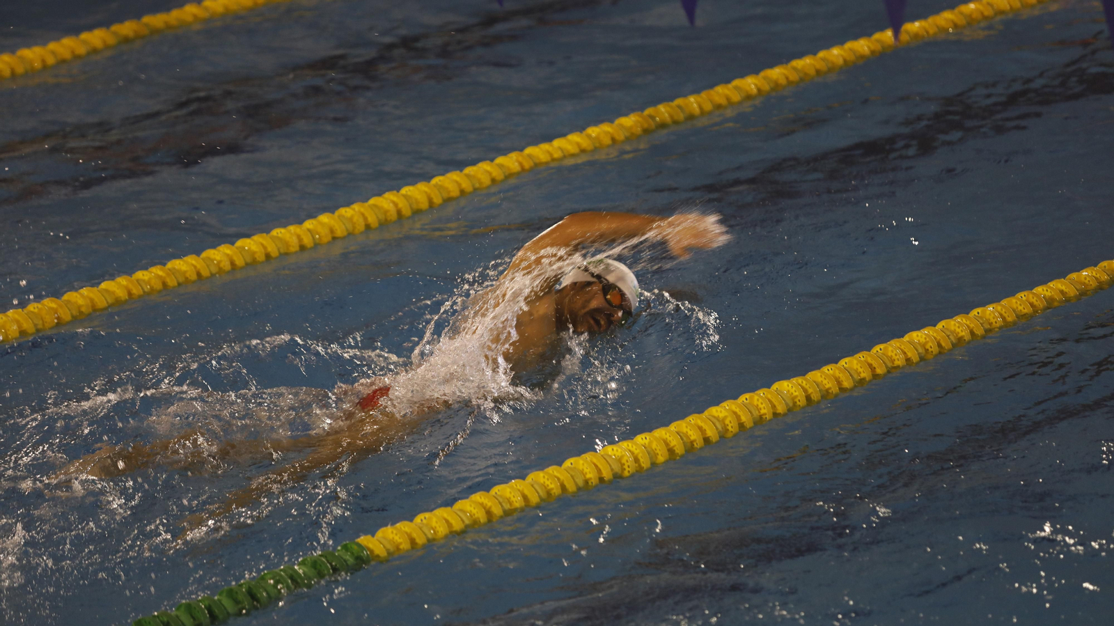 Las fotos del campeonato Máster de natación