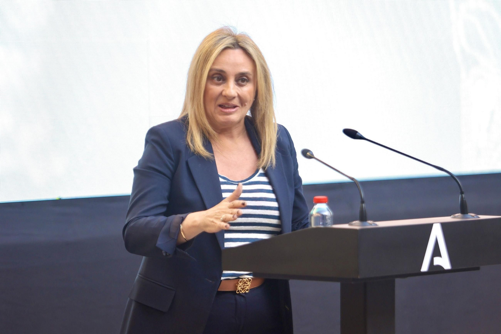 Todas las imágenes de la entrega de los II Premios Provinciales de Tauromaquia de Granada