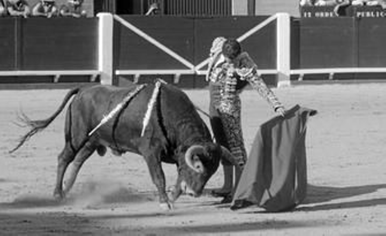 El novillero de la escuela de Algeciras Martín Campanario torea al natural al primer novillo de la tarde.