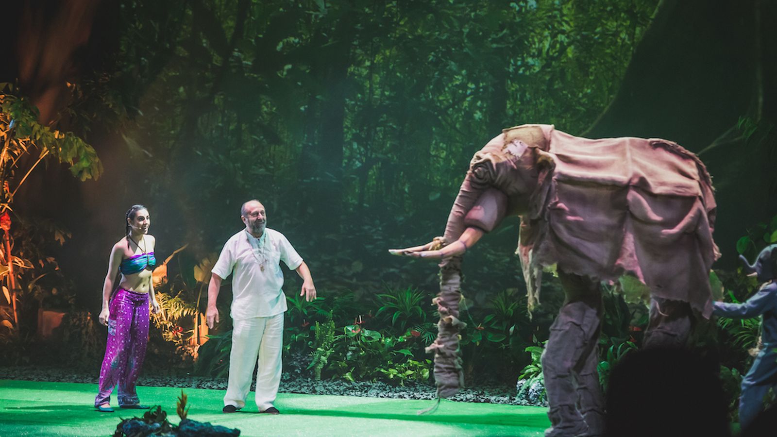 Las imágenes de Hara, el Espíritu de la Selva.