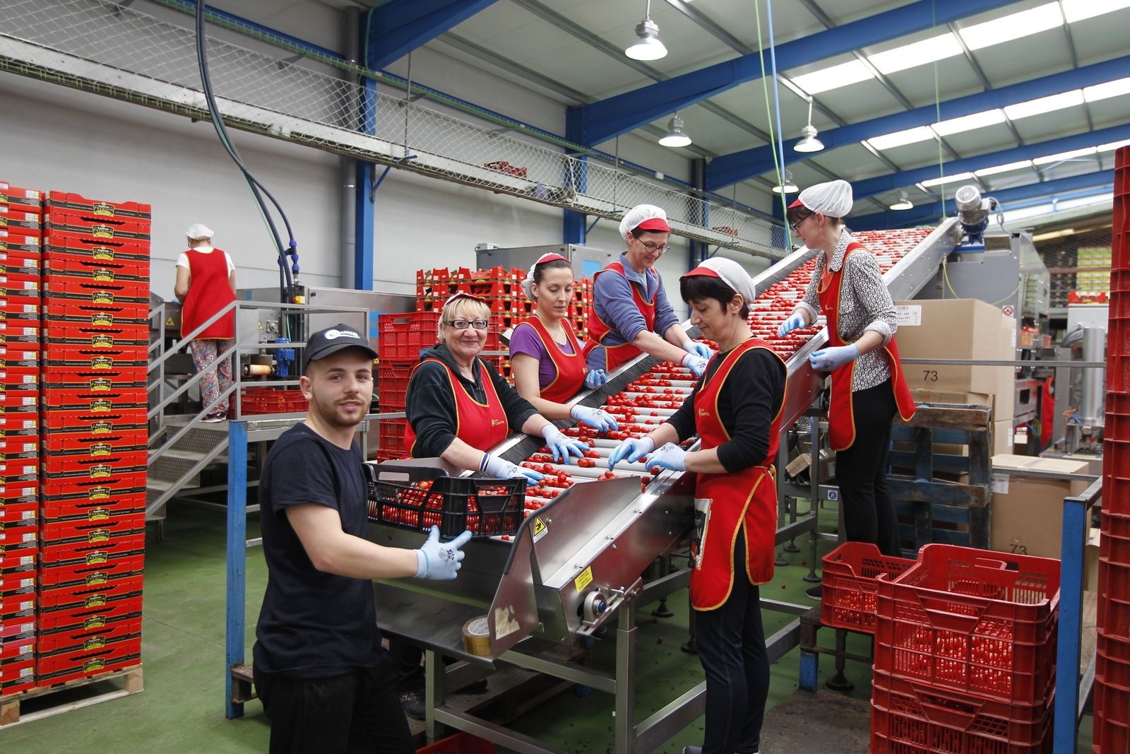 Personal trabajando en las instalaciones de Grupo Caparrós en El Alquián.