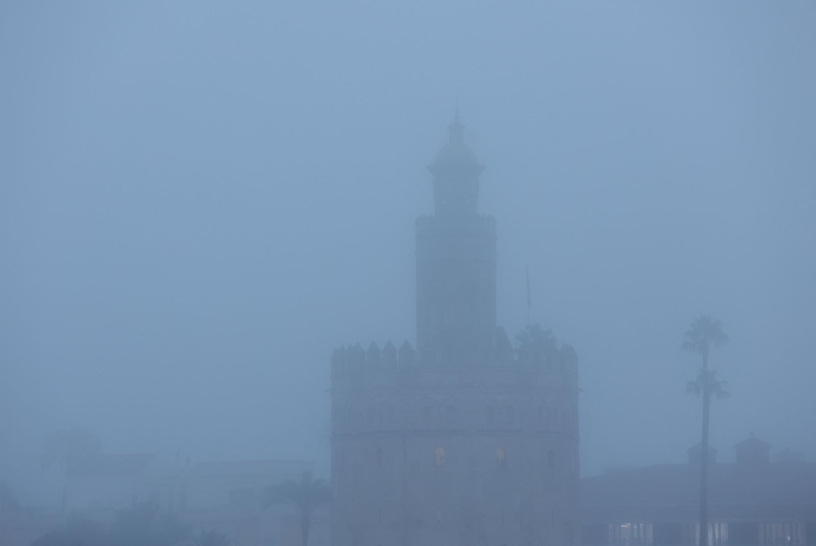 Las imágenes de la niebla en Sevilla