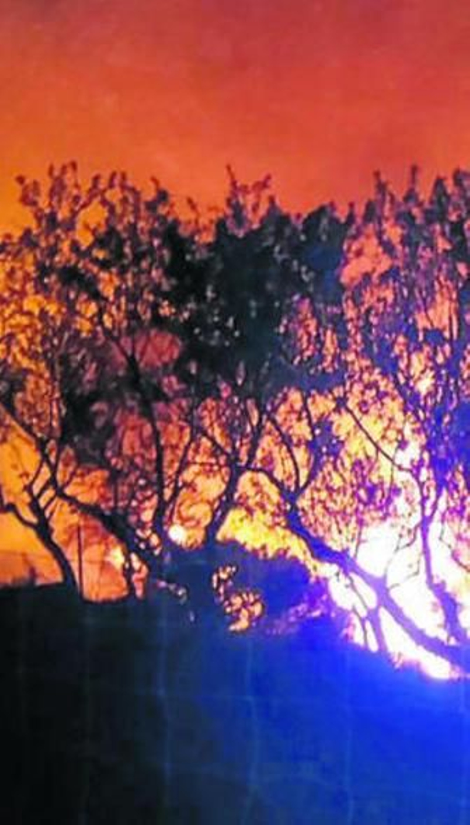 Momento del incendio que afectó a una zona de Archidona.