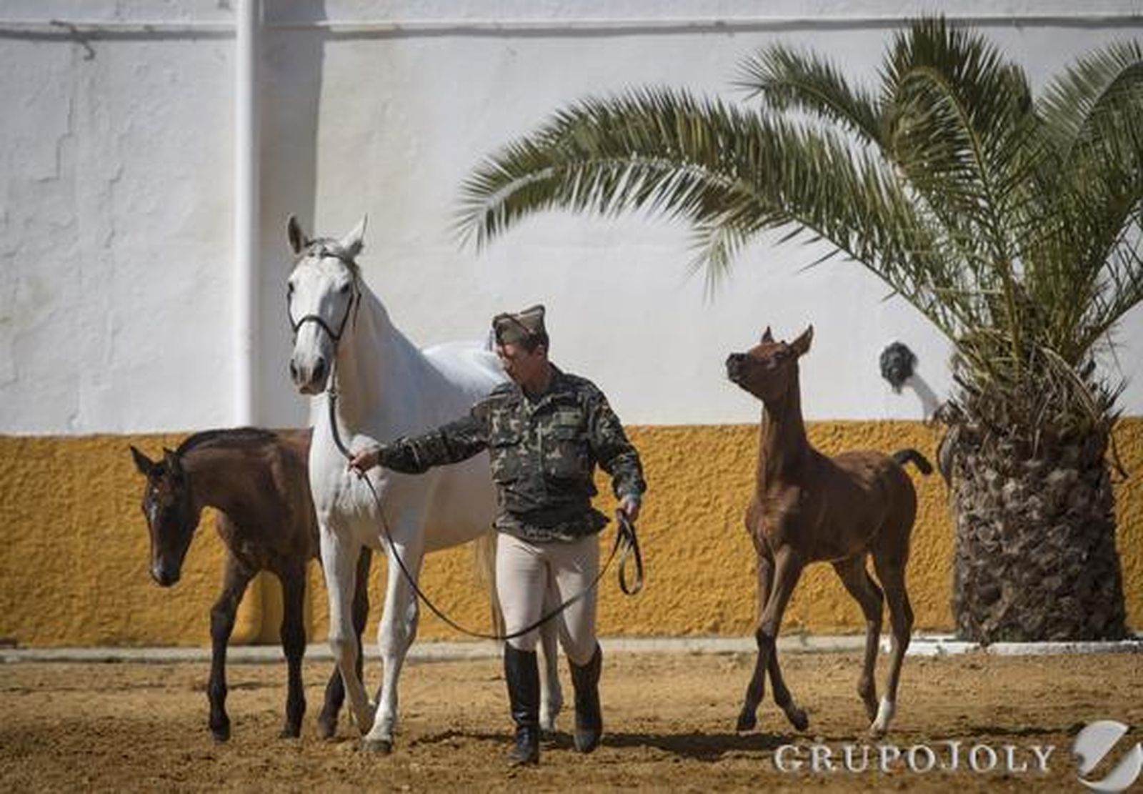 Foto: Antonio Pizarro