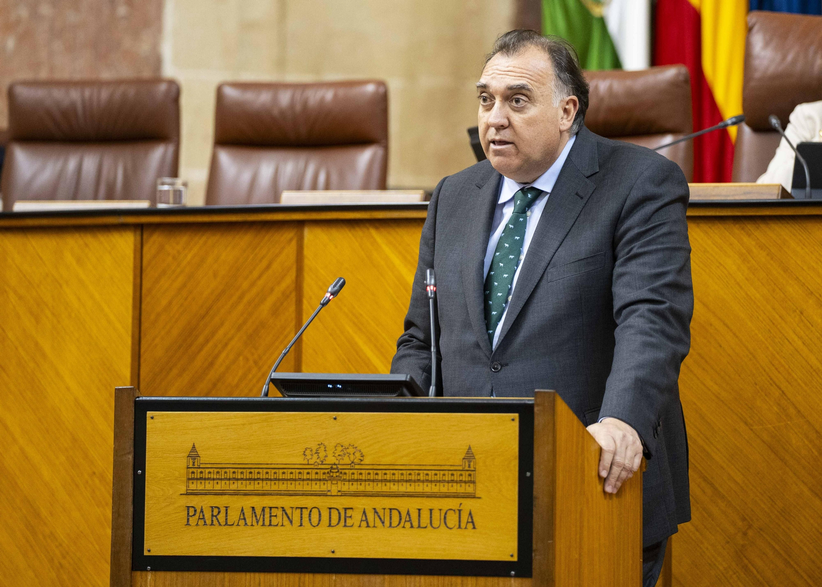 El consejero de Turismo, Arturo Bernal, durante su comparecencia en el Parlamento.