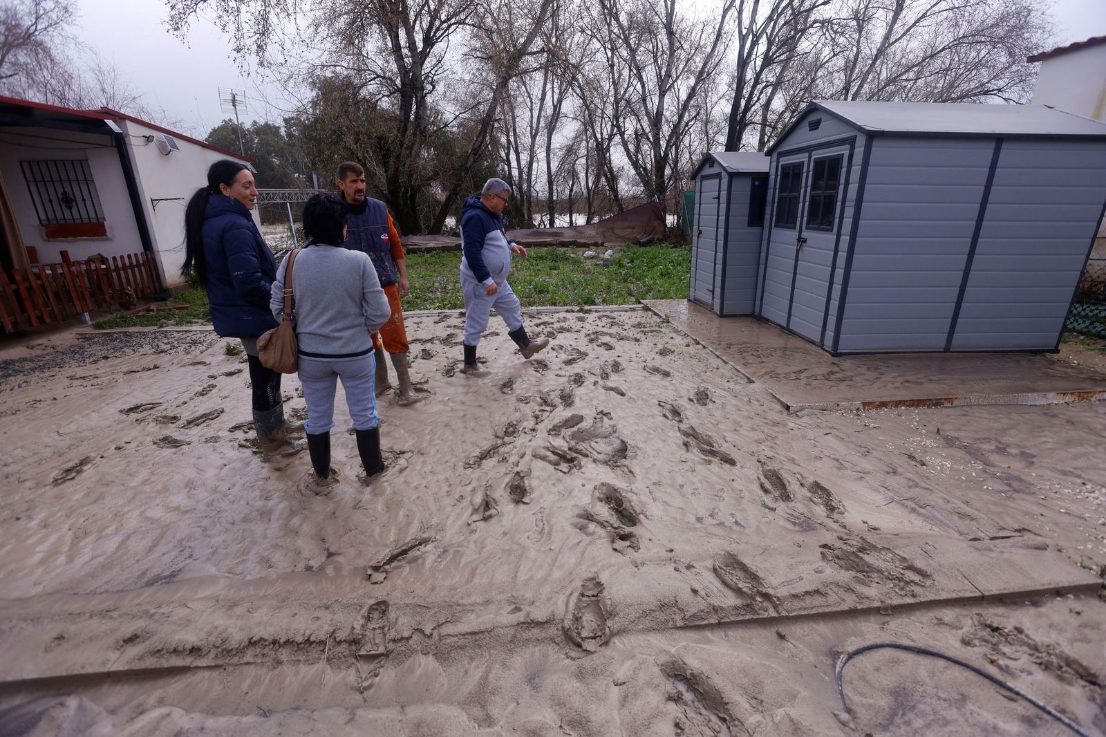 Limpieza en las parcelas de Córdoba tras el tren de tormentas