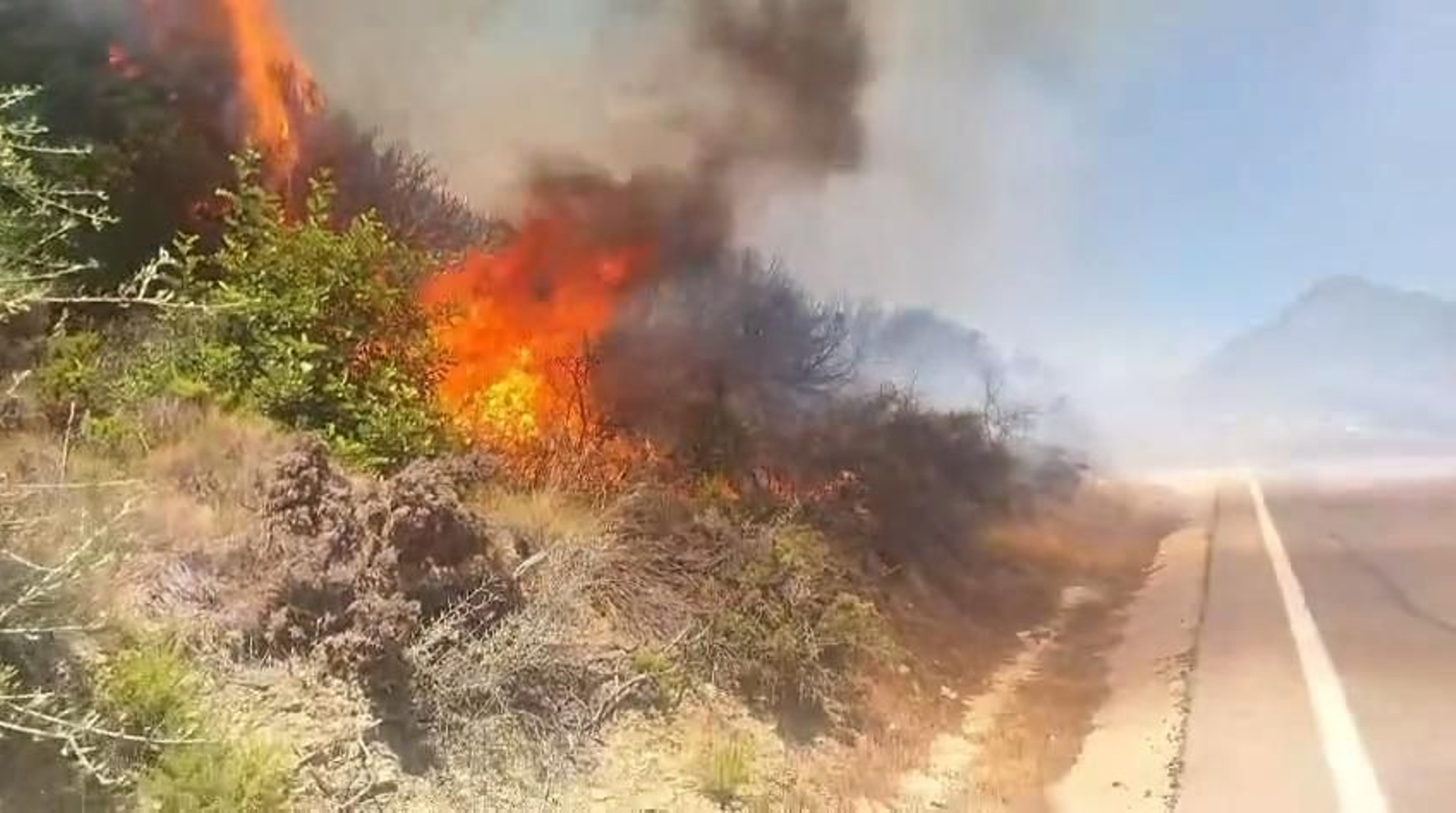 Arde un paraje de Casares en un incendio forestal