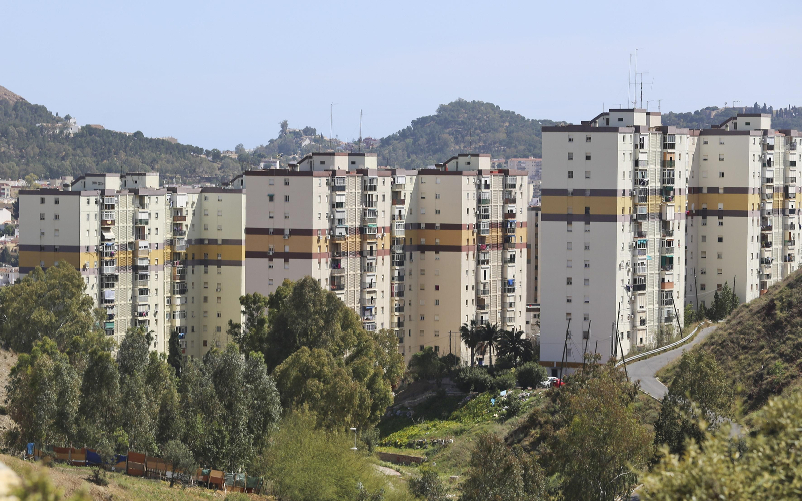 Las fotos del distrito Palma-Palmilla