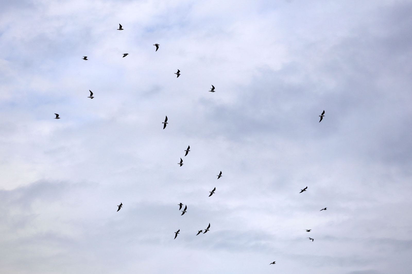 Imágenes del paso de la DANA por Huelva