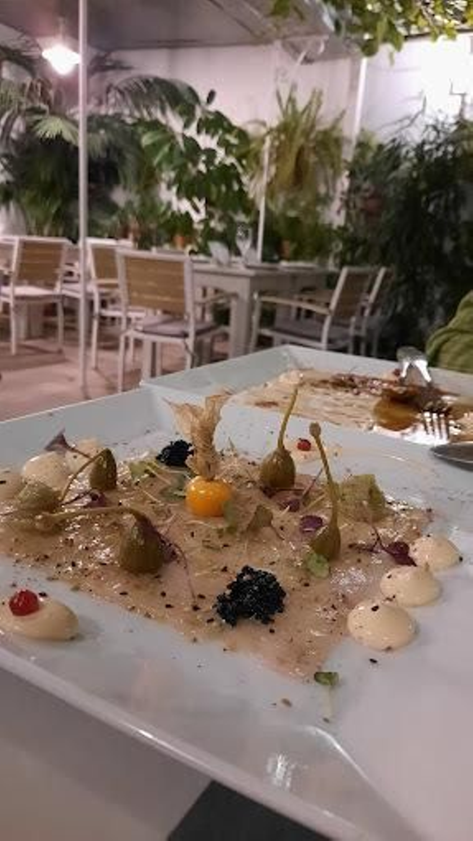 Aquí tienes "los mejores restaurantes de Sanlúcar de Barrameda"