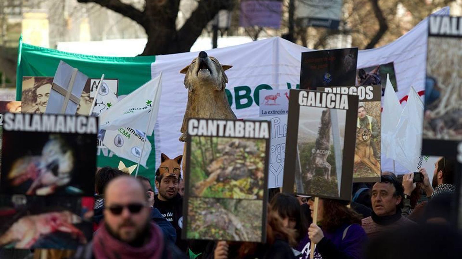 Una protesta pasada a favor del lobo. Una protesta pasada a favor del lobo.