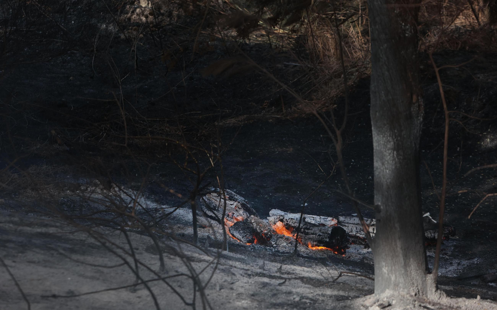 Imágenes del incendio en Montecastillo en Jerez