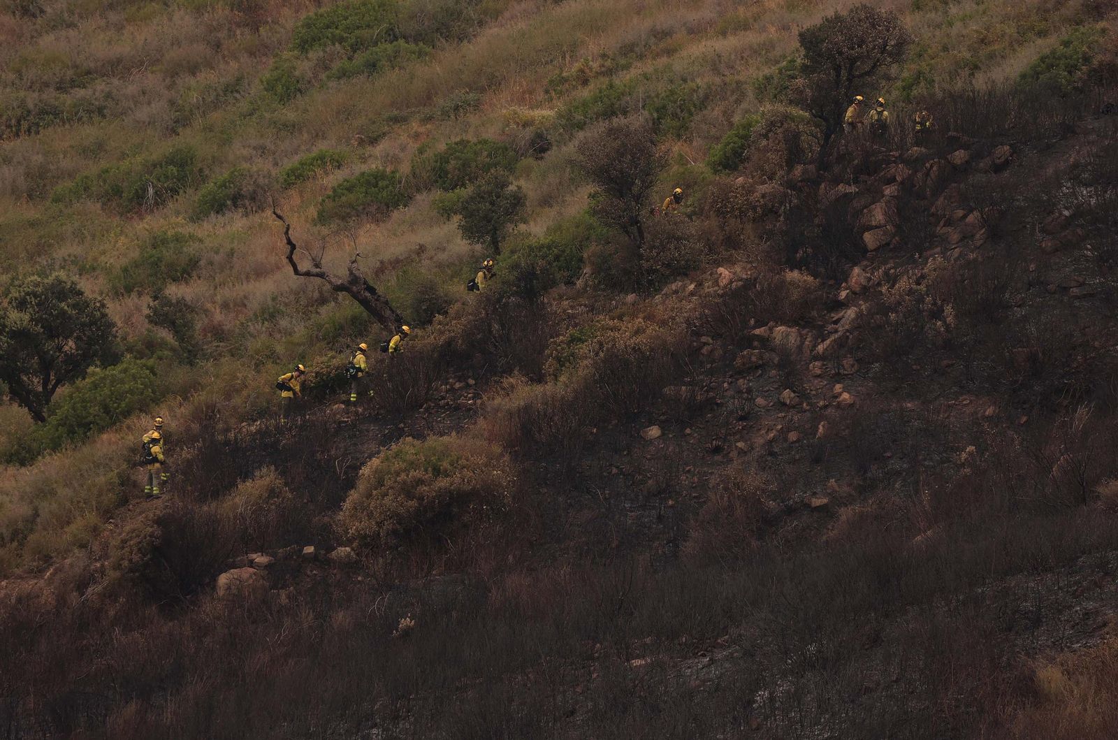 Fotos de los efectos del incendio en el Puerto del Laurel en Algeciras