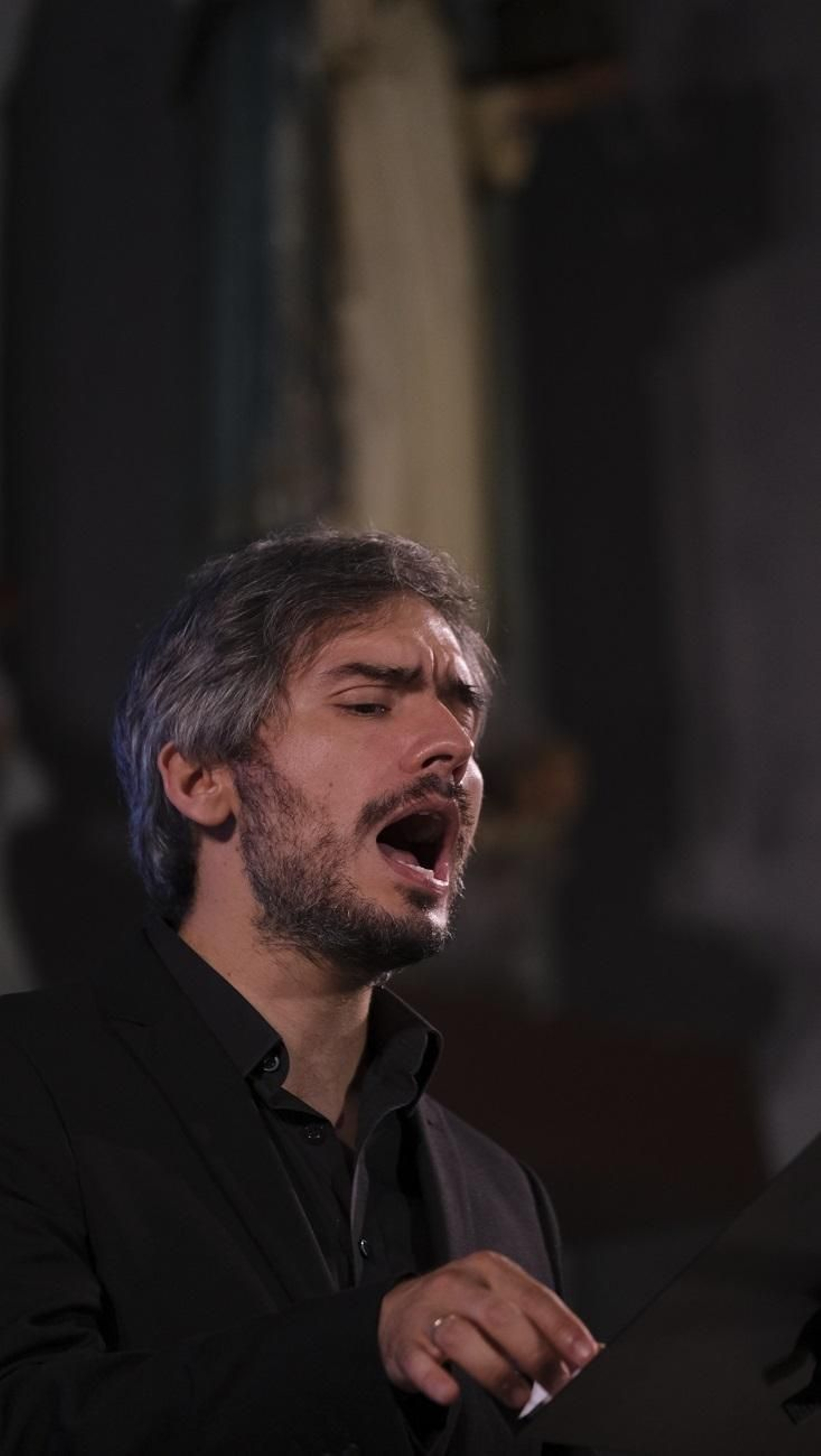 Fotogalería La Grande Chapelle. Festival de Música Renacentista y Barroca de Vélez Blanco.