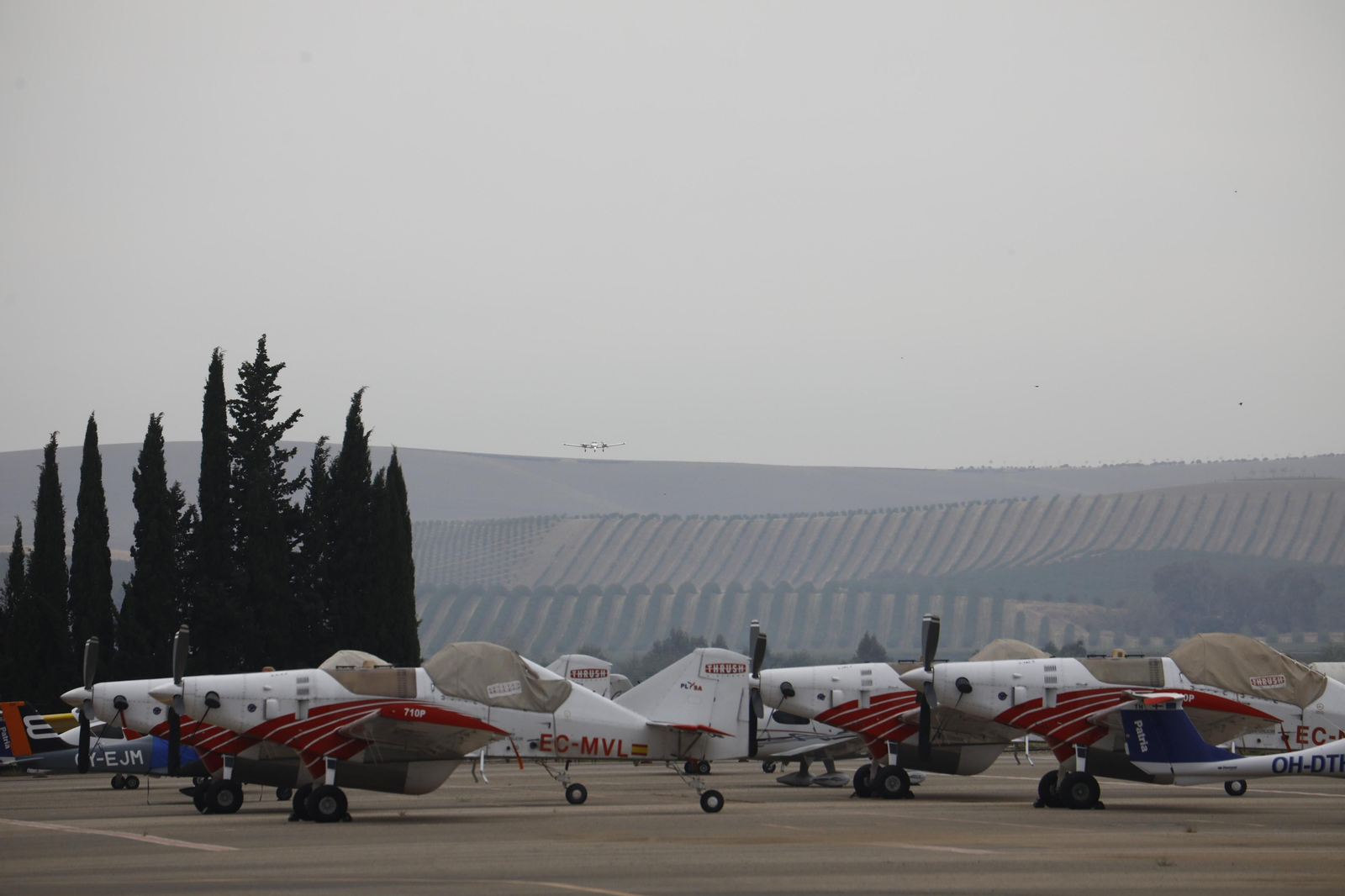 La nueva terminal del aeropuerto de Córdoba, en fotografías