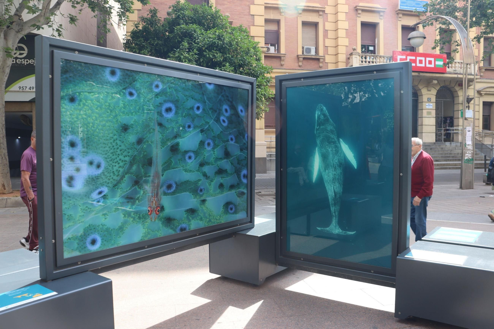 La exposición 'Colores del mundo', en imágenes