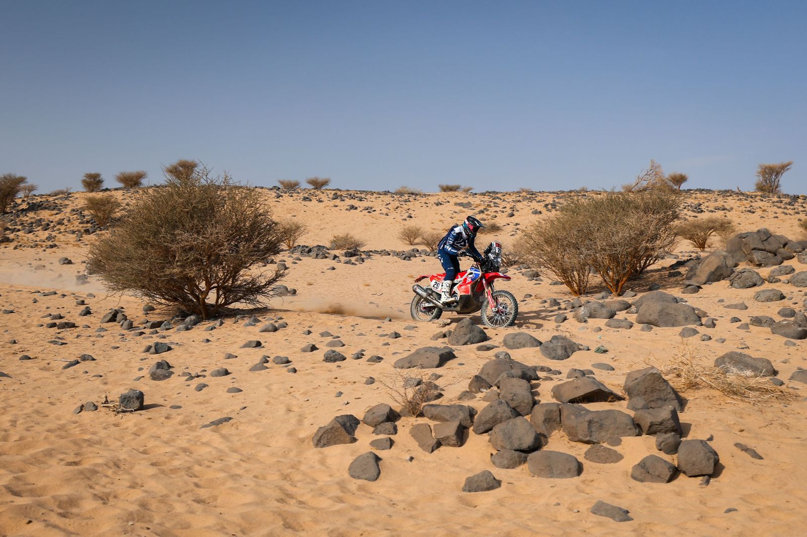 Las mejores fotos del Rally Dakar | undécima etapa