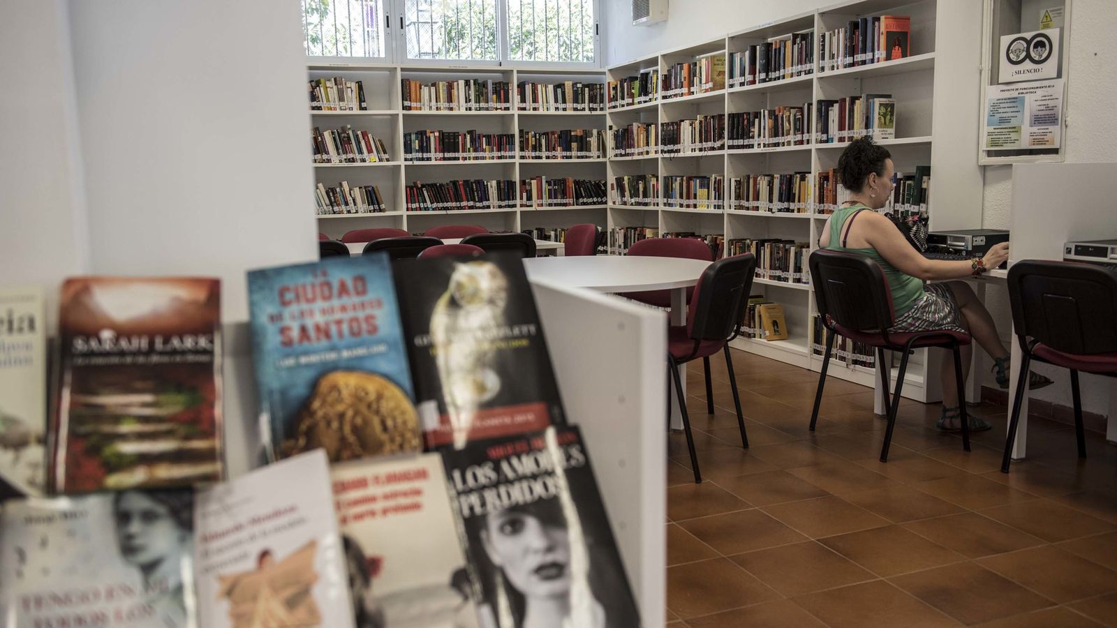 Imagen del interior de la biblioteca de Las Palomas.