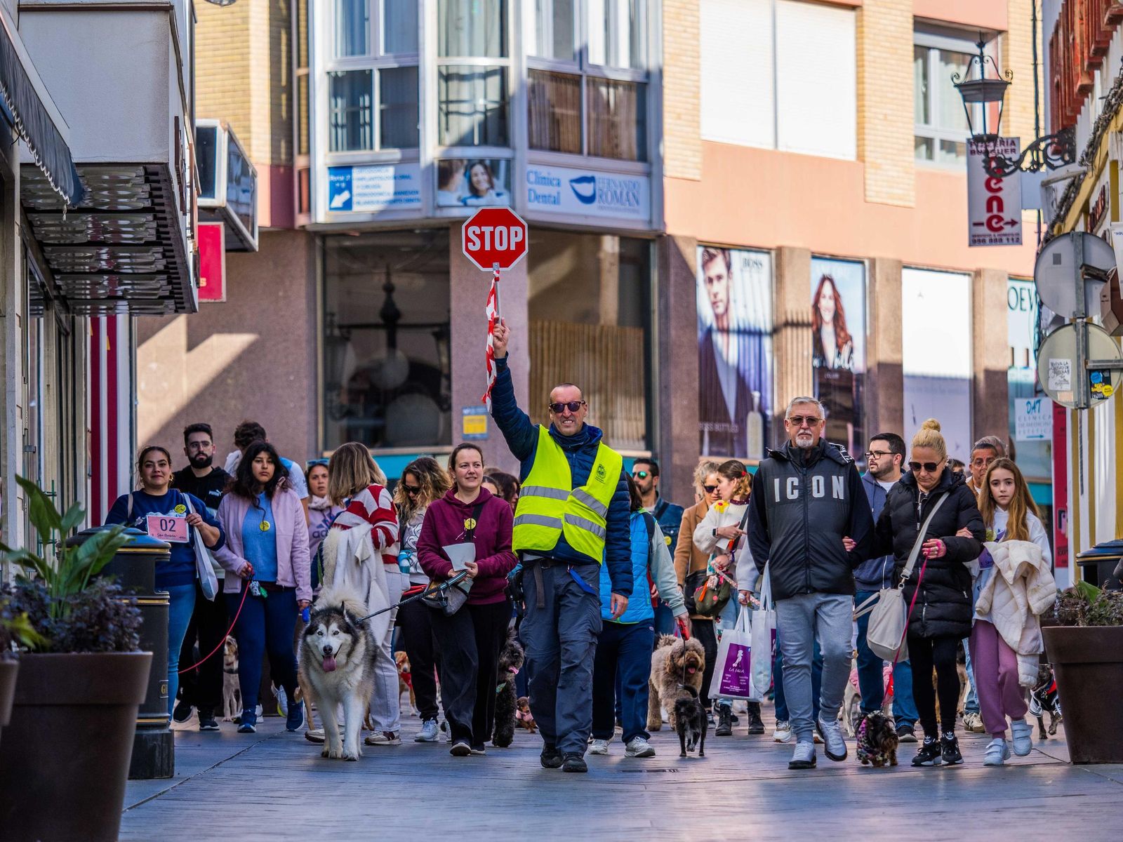 Las imágenes de San Antón 2025 en San Fernando