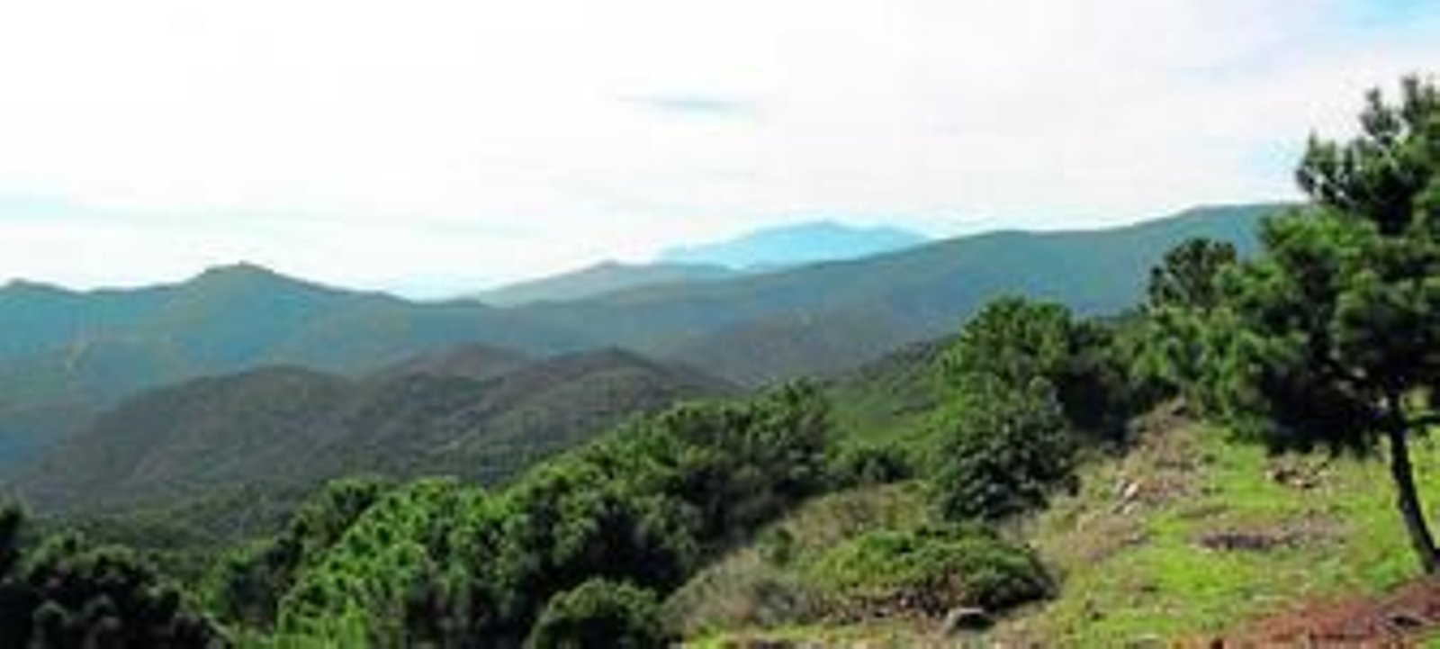 Vista de Sierra Bermeja.