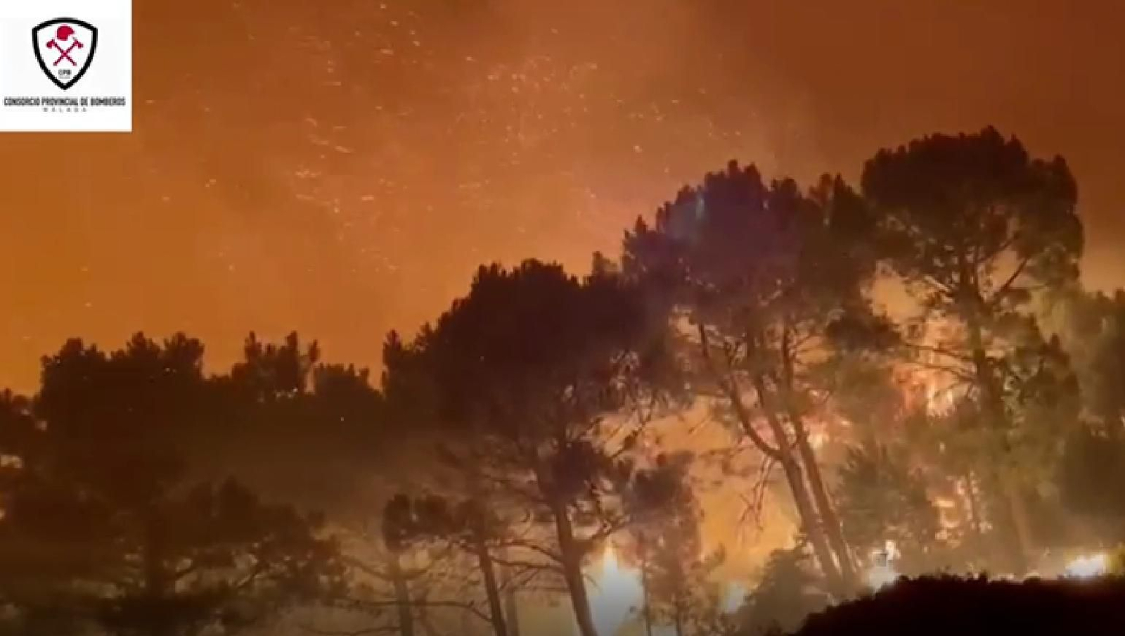 El incendio forestal de Jubrique, el primero del verano en Málaga, en fotos