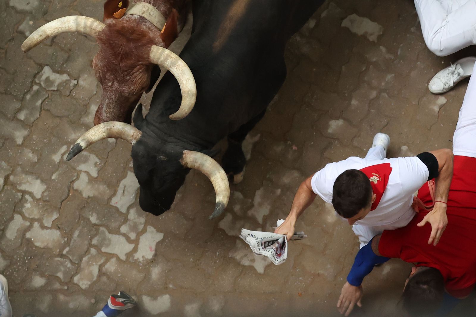 El encierro de los toros de Núñez del Cuvillo en imágenes