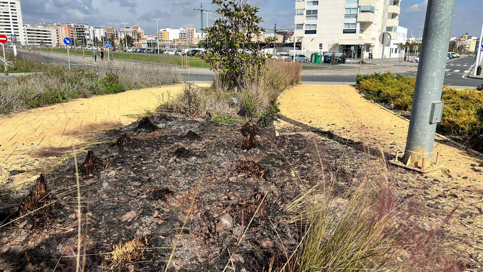 Así quedó la zona ajardinada afectada por el fuego