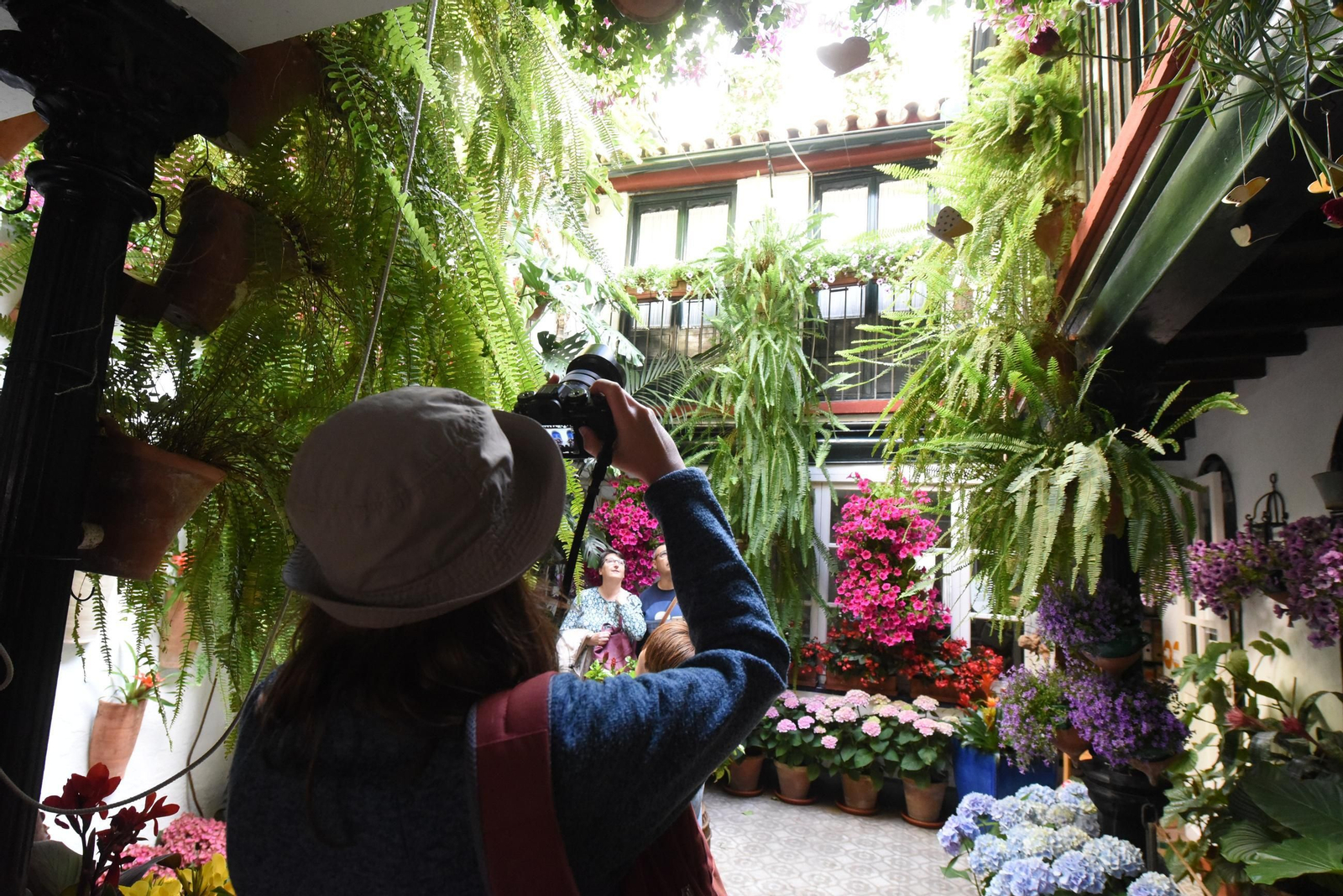 Una ruta en imágenes por los patios de la Judería y San Francisco