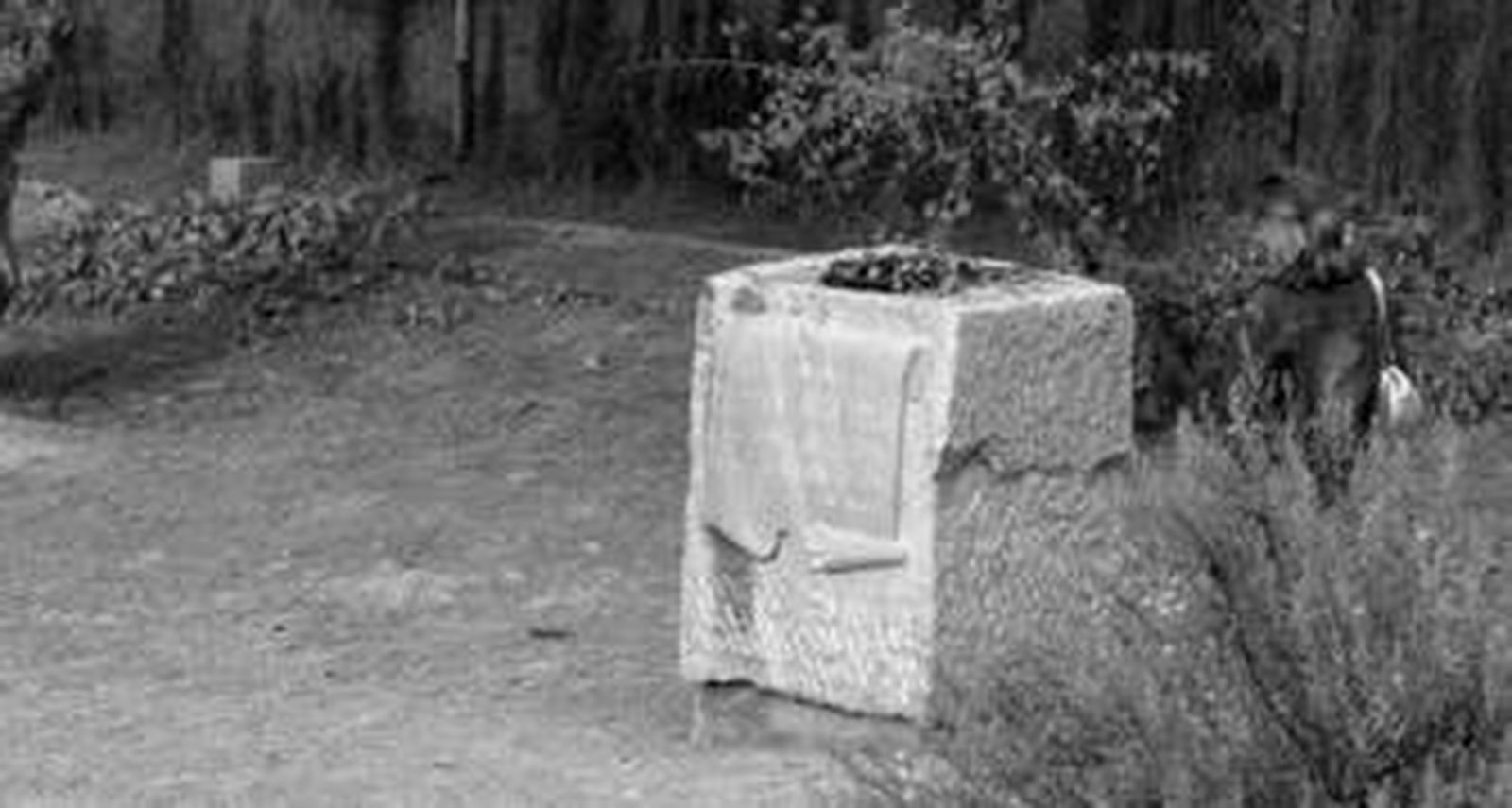 El juez Baltasar Garzón no decidirá aún nada sobre la apertura de la fosa del poeta Federico García Lorca.