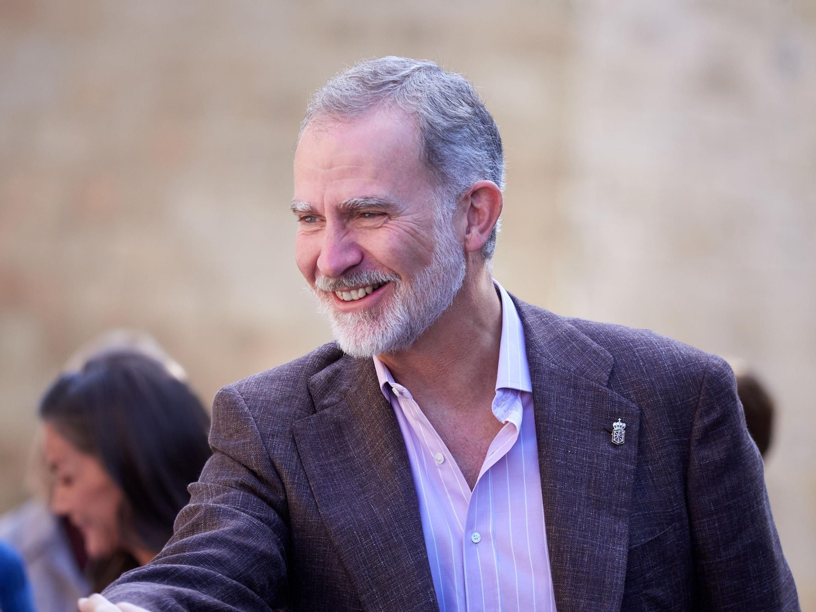 El Rey Felipe VI.