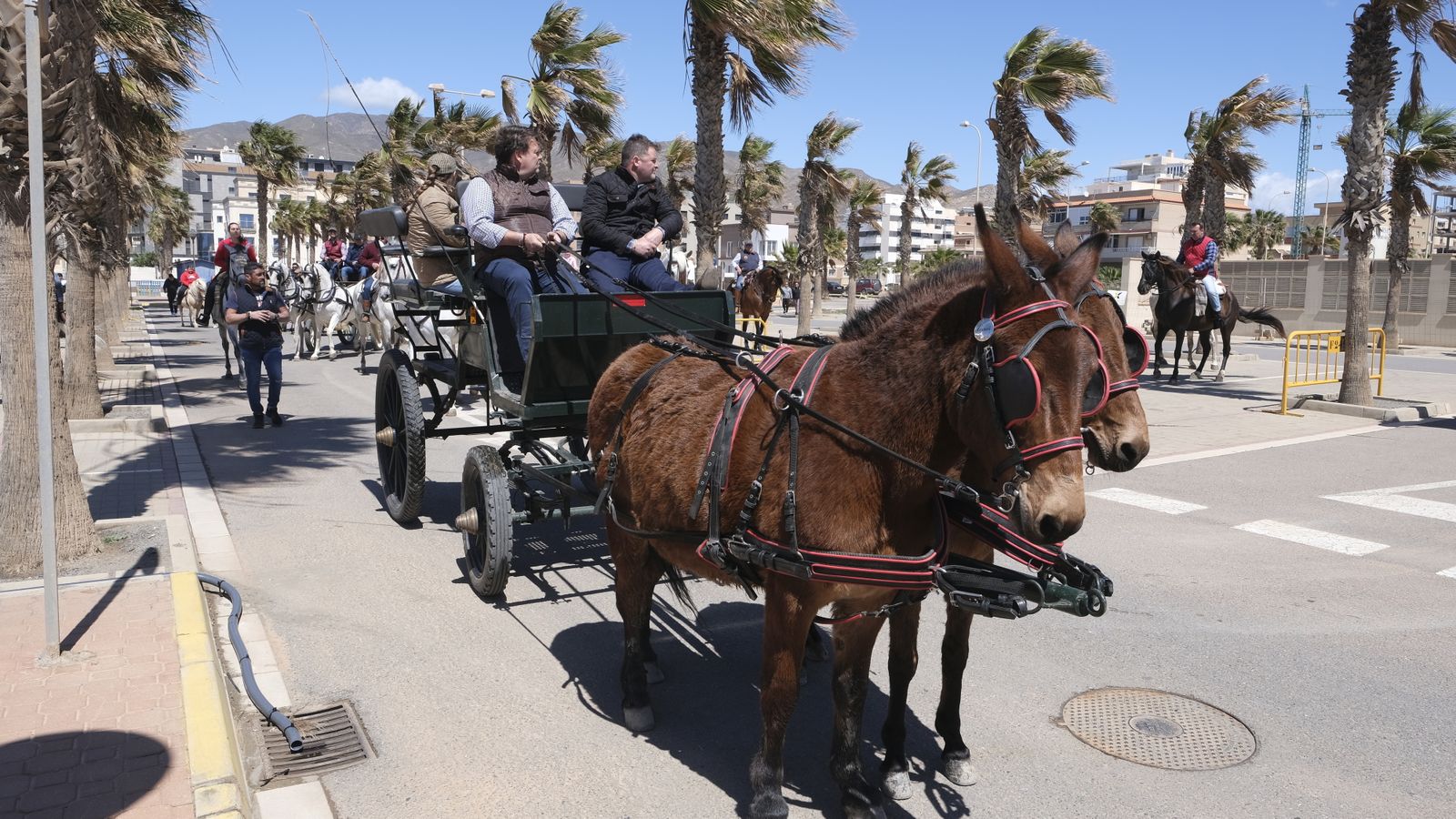 Fotogalería de las Fiestas de San Marcos en Adra.