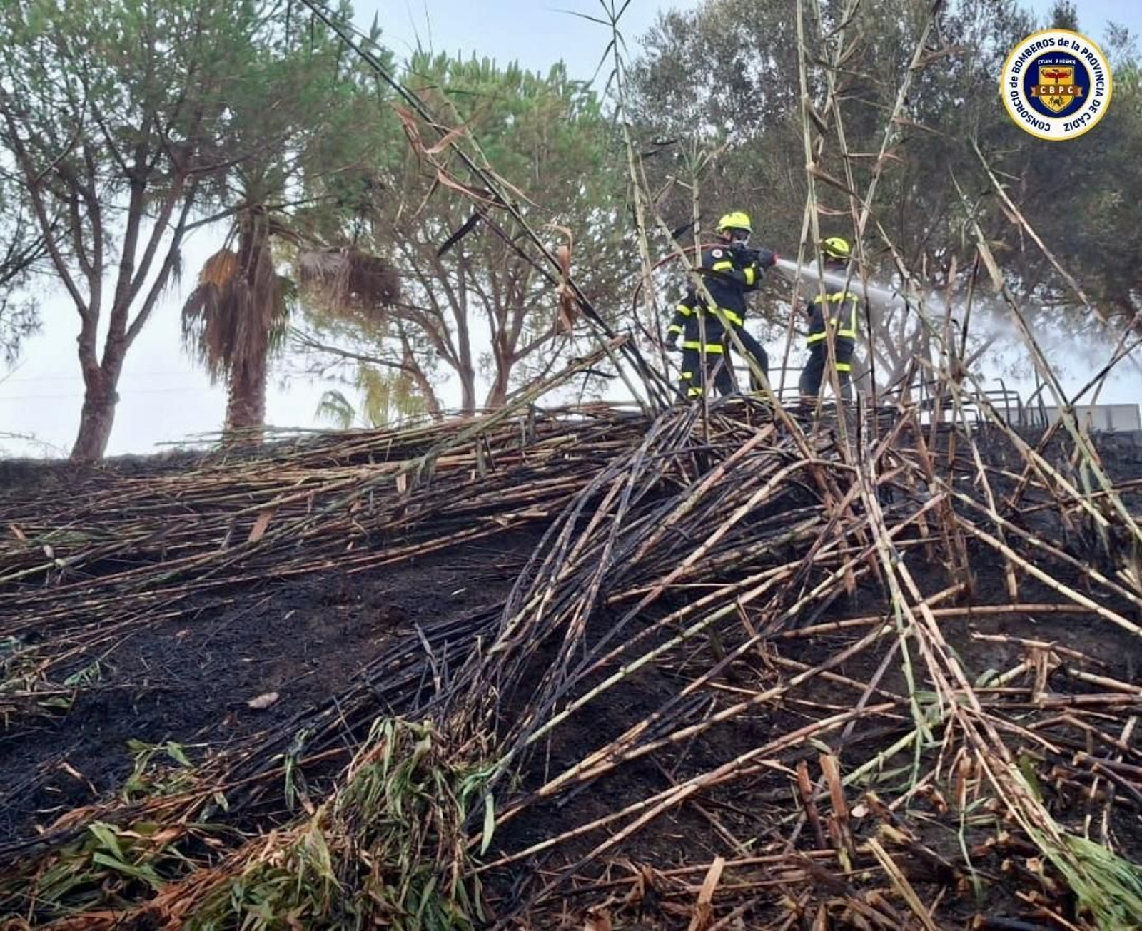 Las tareas de extinción del incendio junto a La Aldea 2.