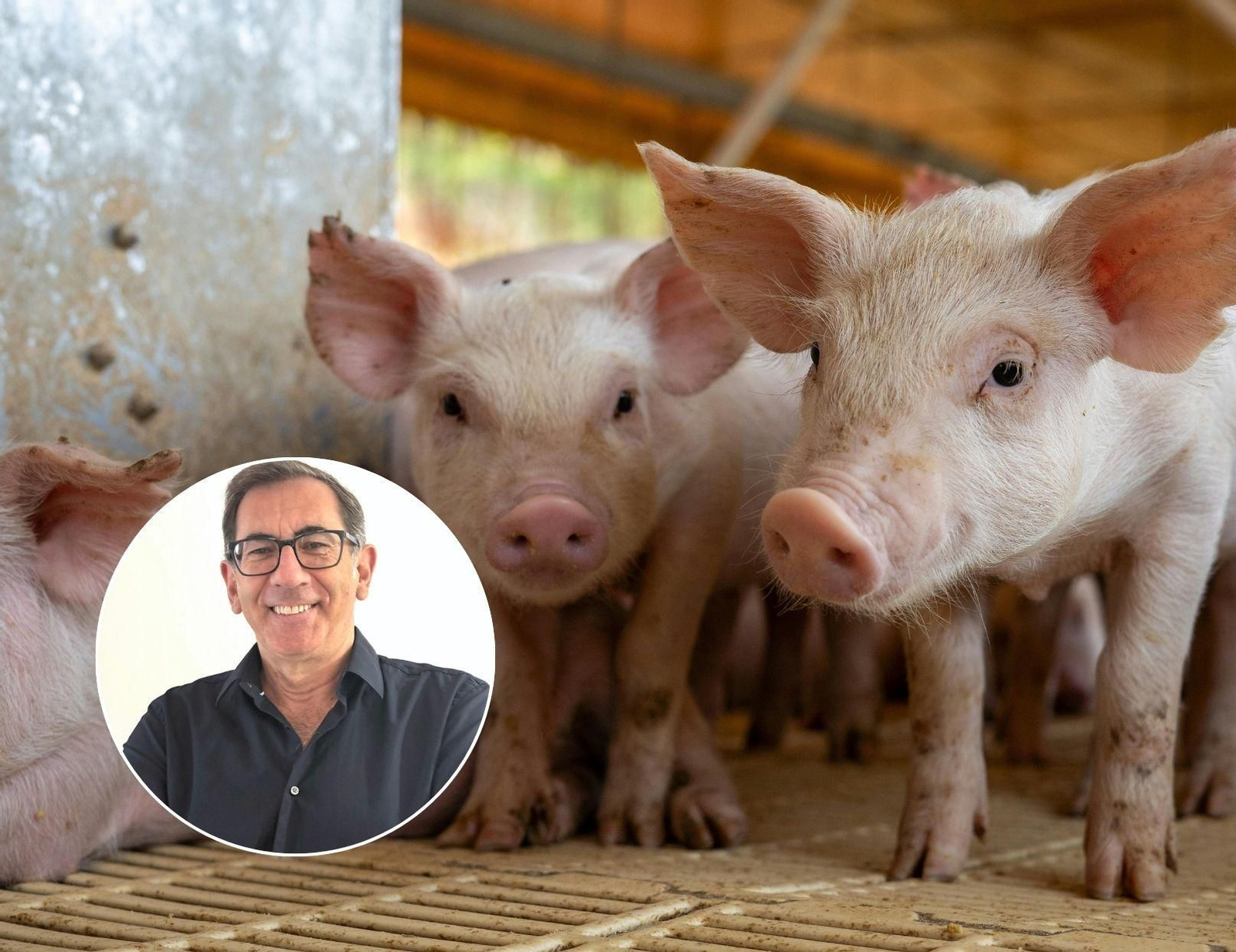 El secretario de Formación del Colegio de Veterinarios de Málaga, Rafael Astorga El secretario de Formación del Colegio de Veterinarios de Málaga, Rafael Astorga