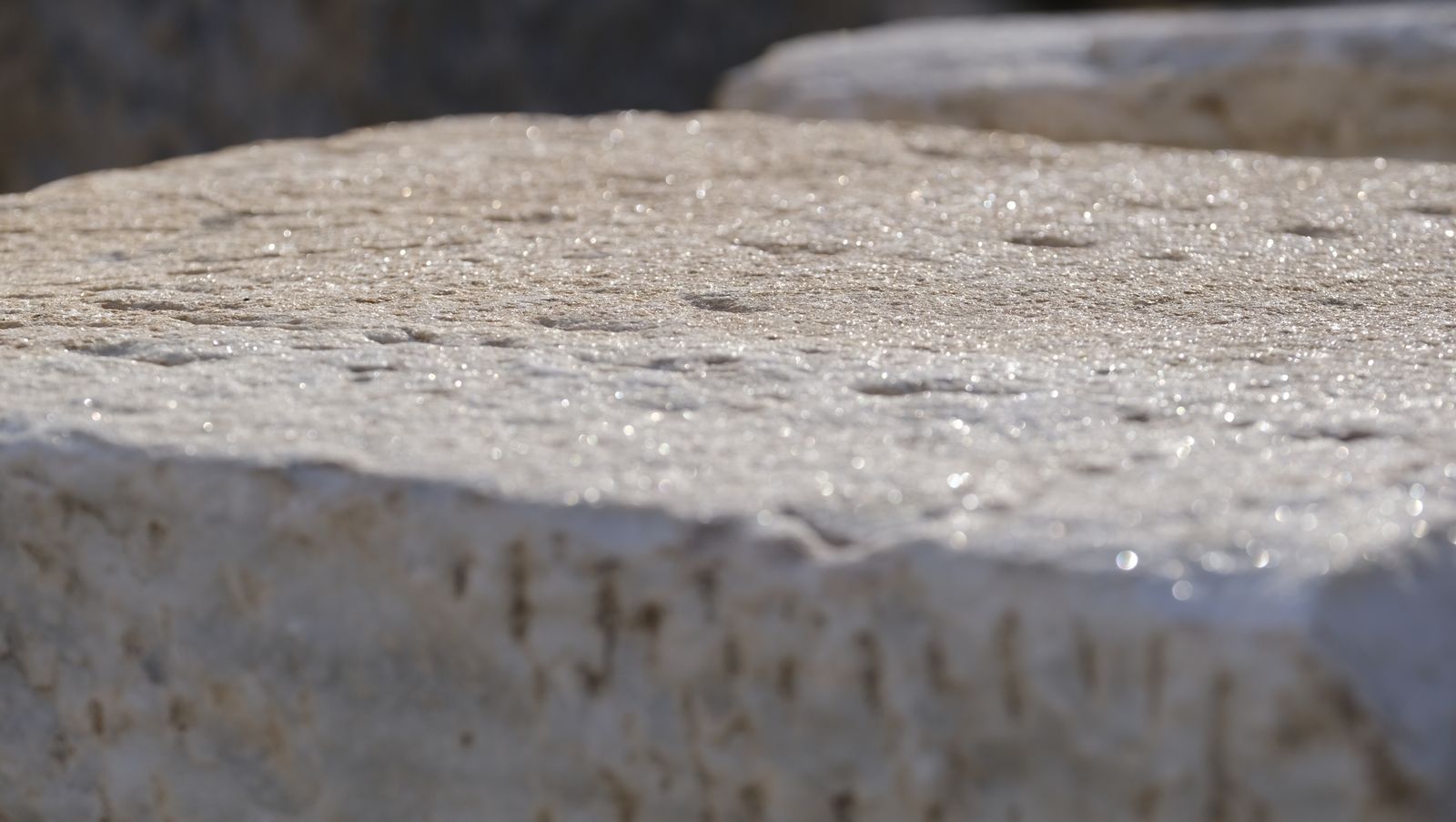 Las mejores imágenes de la recreación histórica Canteros y Caciques, en Macael